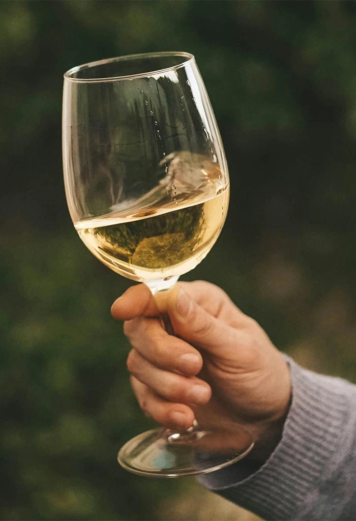 Calice di vino bianco